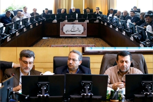 حضور مدیران " بخشش" در کمیسیون بهداشت ودرمان مجلس شورای اسلامی